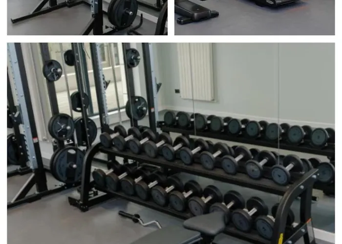 Ella Odyssey Navodari